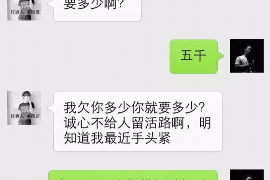 磐石要债公司